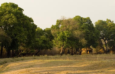 CROCODILE RIVER CAMP